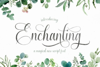 Script Fonts to Elevate Your Creative Projects