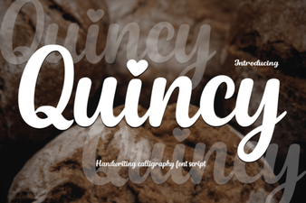 Discover Quincy Font: Modern Design Typography Guide